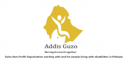 Logo: ADDIS新Logo .jpg