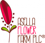 Logo: Logo ASELLA.JPG